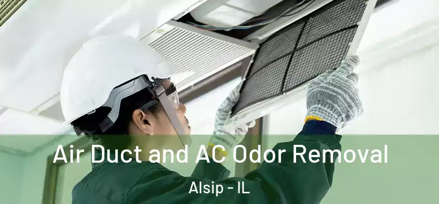  Air Duct and AC Odor Removal Alsip - IL