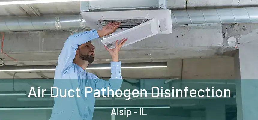 Air Duct Pathogen Disinfection Alsip - IL