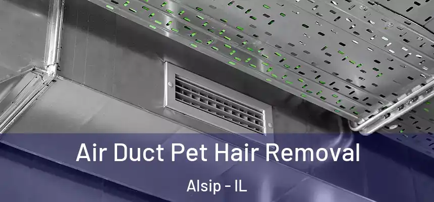 Air Duct Pet Hair Removal Alsip - IL