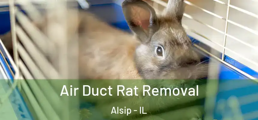  Air Duct Rat Removal Alsip - IL