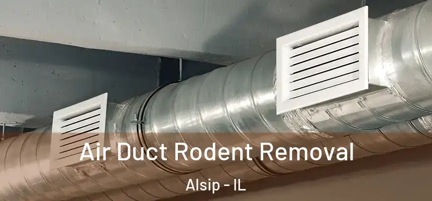 Air Duct Rodent Removal Alsip - IL