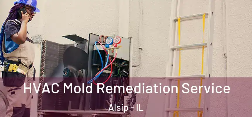 HVAC Mold Remediation Service Alsip - IL