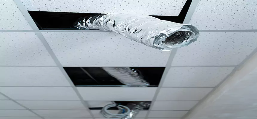 Affordable HVAC Sanitizing After Pest Removal in Alsip