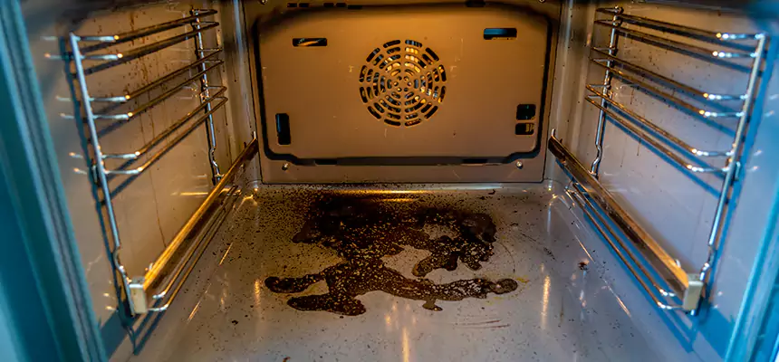 Our Dryer Vent Mold Cleaning Services in Alsip, IL