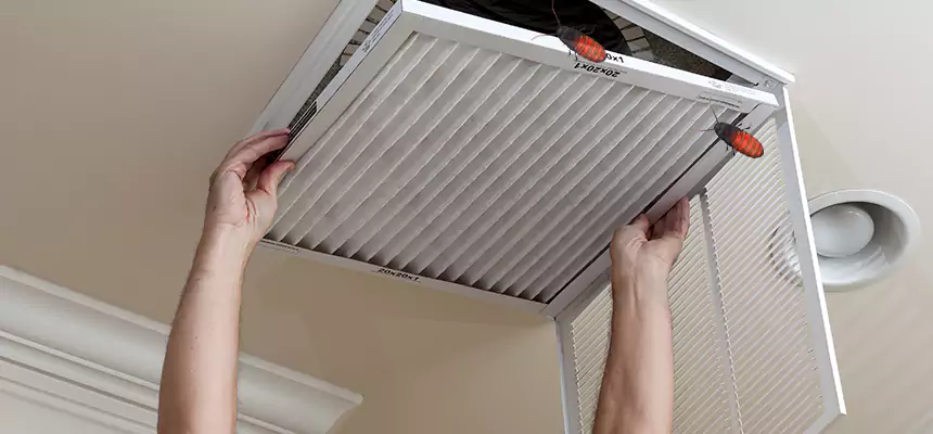 Our Insect Removal from Air Ducts Services in Alsip, IL
