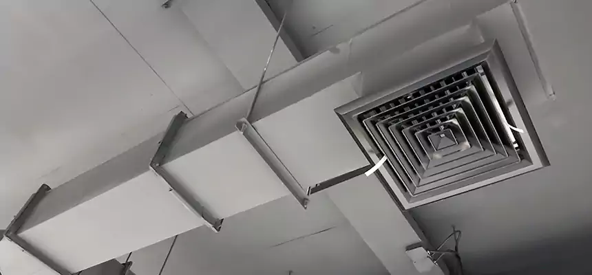 Our Rodent Droppings In Vents Services in Alsip, IL