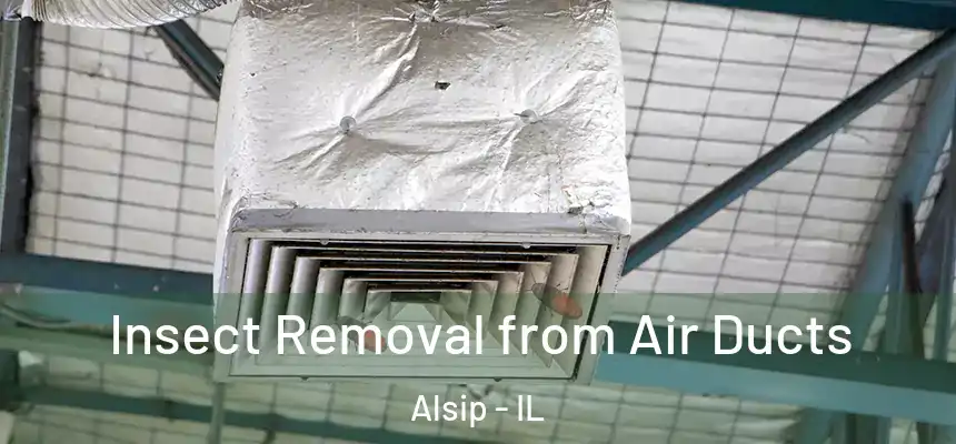  Insect Removal from Air Ducts Alsip - IL