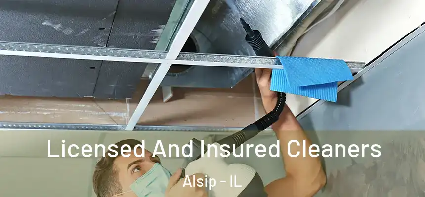  Licensed And Insured Cleaners Alsip - IL