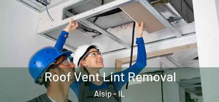  Roof Vent Lint Removal Alsip - IL