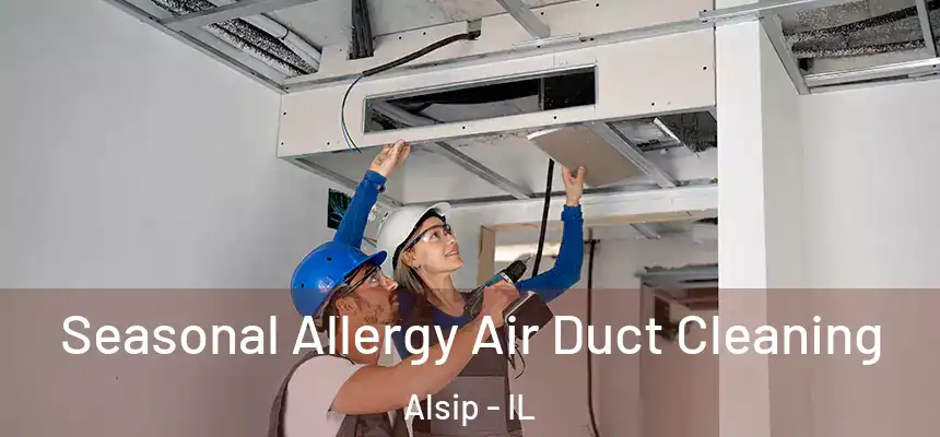  Seasonal Allergy Air Duct Cleaning Alsip - IL