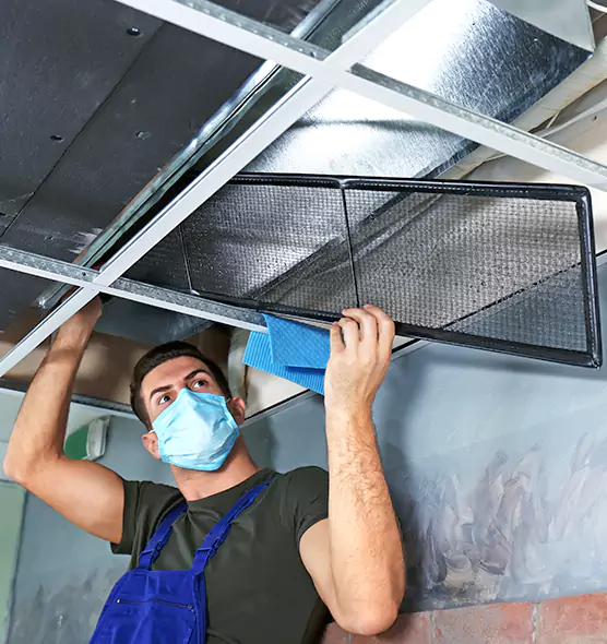 About Air Duct Bacteria Removal in Alsip