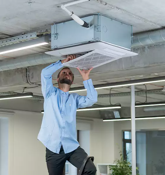 Advanced Rodent Droppings In Vents in Alsip, IL