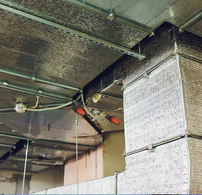 Why Homeowners & Businesses Trust Us in Alsip, IL?