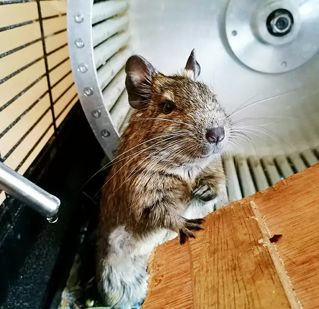 Why Homeowners & Businesses Trust Us Alsip, IL